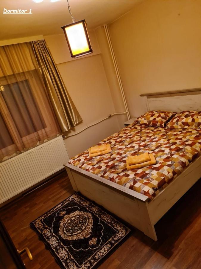 La Mircica Ap 1 Apartment Călimăneşti Exterior foto